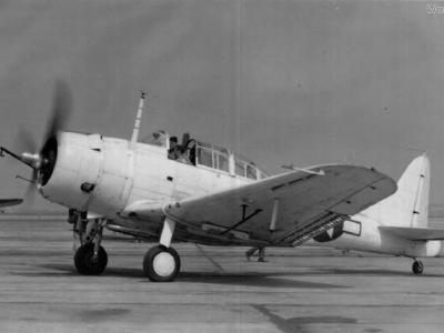White SBD-5