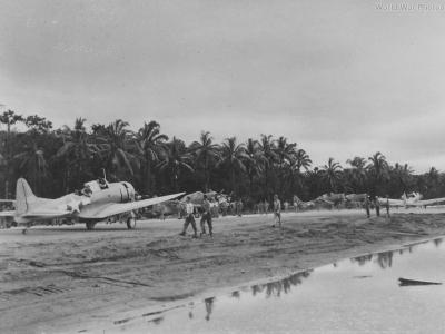 sbd BOUGAINVILLE