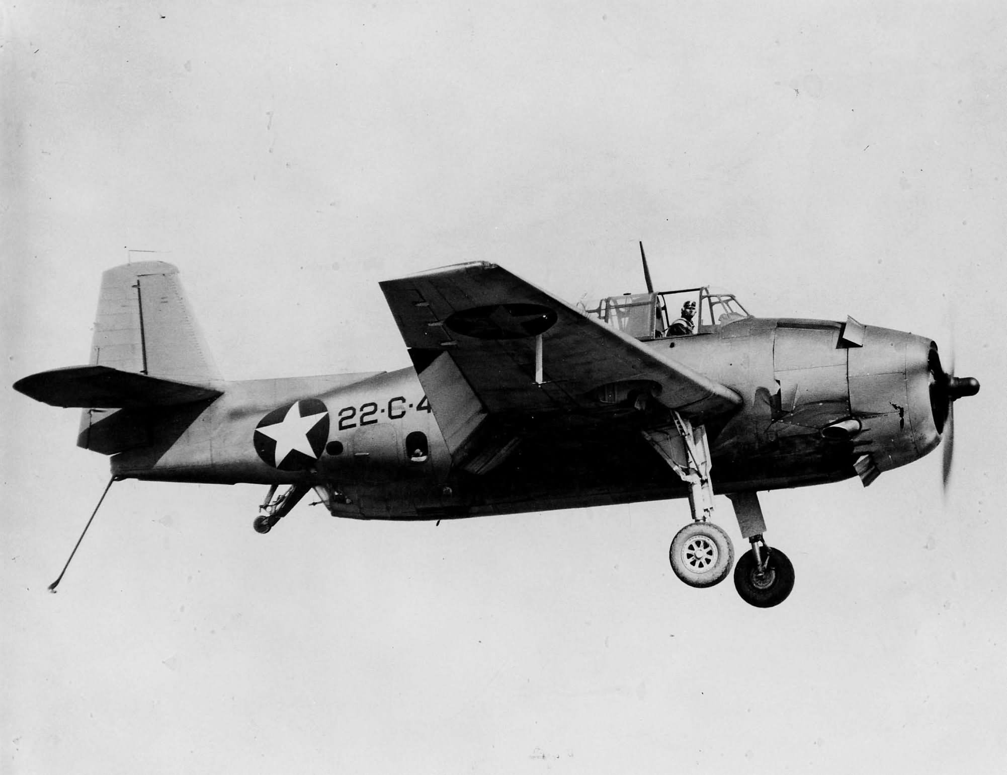 TBF Avenger code 22-C-4 of VC-22 in carrier landing configuration on May 1 1943