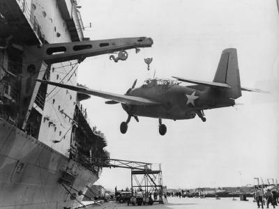 TBF-1 43