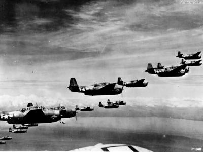 TBF-1 formation