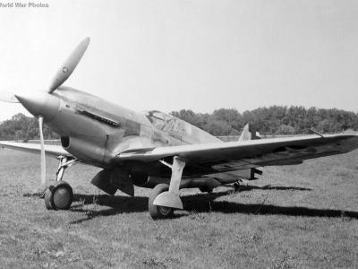 XP-46