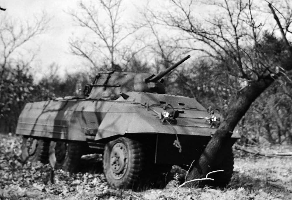 M8 Greyhound Armored Car in field trials 3