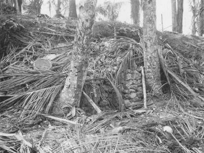Captured Japanese Pillbox Beach Of Biak 1944