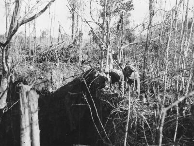 GI’s Look Into Japanese Cave In Jungle Of Biak 1944