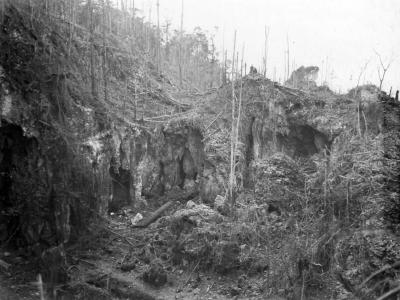 Largest Japanese Cave In Jungle Of Biak 1944