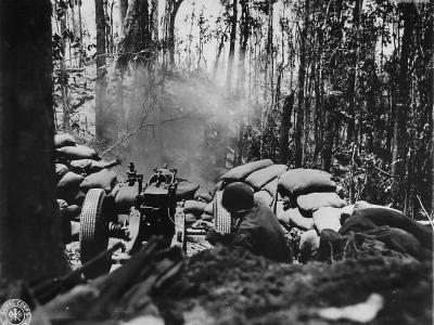 23rd Infantry Division fire 75mm Pack Howitzer M1