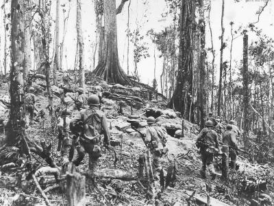 Americal Division advance on Japanese positions on Hill 260