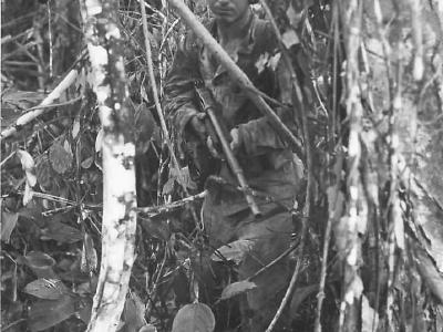 Marine with BAR advancing on Bougainville
