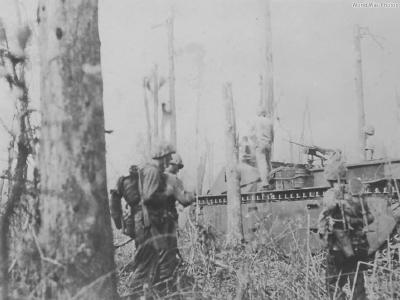 1st Marine Division and Amtrac