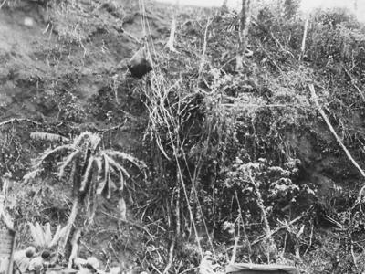 Battle of Cape Gloucester 3