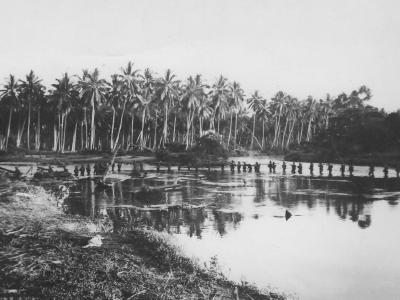 Marine Patrol In Jungle Of Guadalcanal