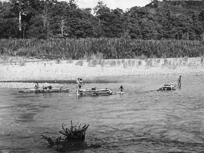 Australian wounded transported by log rafts in New Guinea