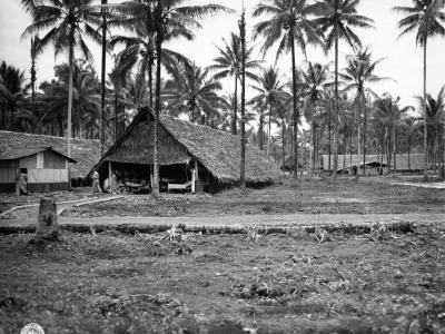 Station hospital in New Guinea 15 January 1944