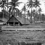 New Guinea campaign of the Pacific War 1942-1945 | World War Photos