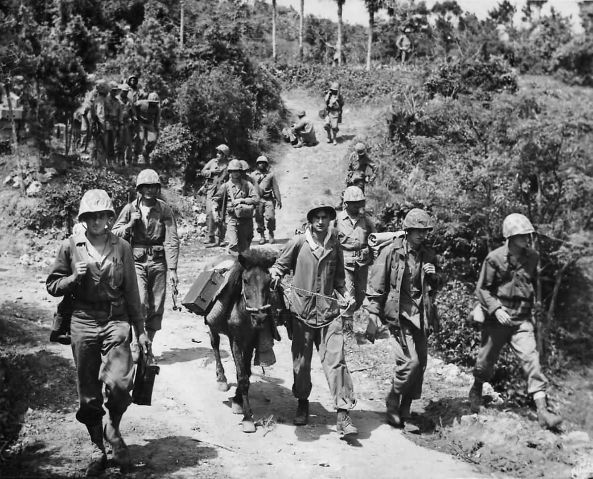 Marine Communication Crews Establish Phone Lines on Okinawa | World War ...