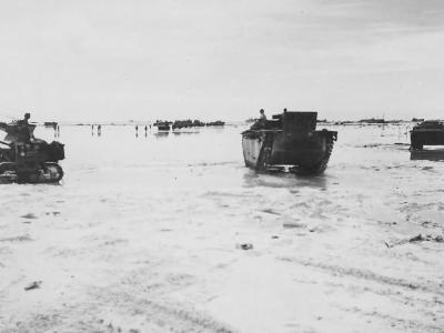 Marine Amtracs Landing On Beach Of Peleliu