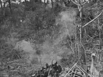 Soldiers and M4 Sherman Dozer C14 Attack Japanese Positions Peleliu