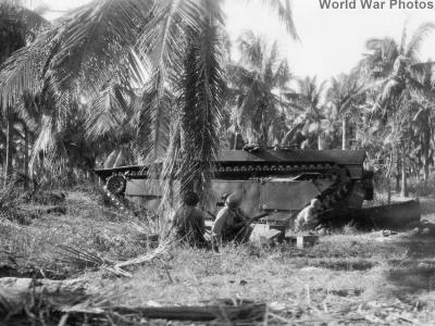 Soldiers and LVT of the 43rd ID