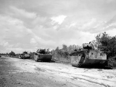 LVT 4 Buffalo Amtracs Knocked Out Saipan June 1944