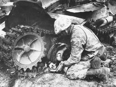 Marine combat photographer Norm Hatch gives a drink of water to a kitten