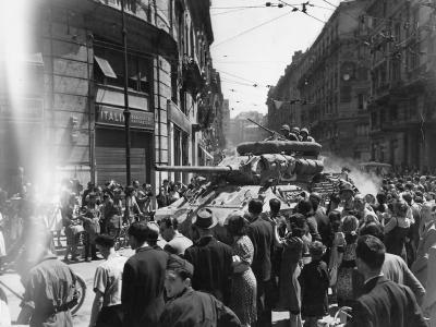 M10 Wolverine Tank Destroyer In Italy