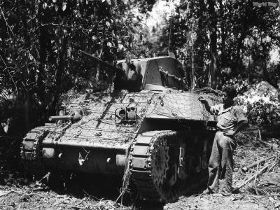 Chinese 1st Battalion M5 Stuart with Anti-Magnetic Mine Netting 1944