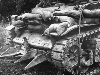 M5 equipped with a hedge cutter