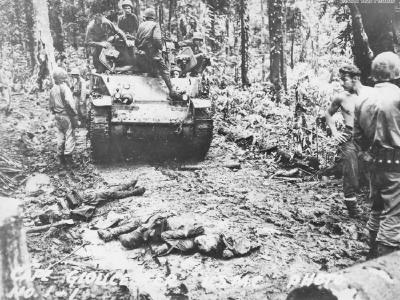Marine M5 on Cape Gloucester 44 2