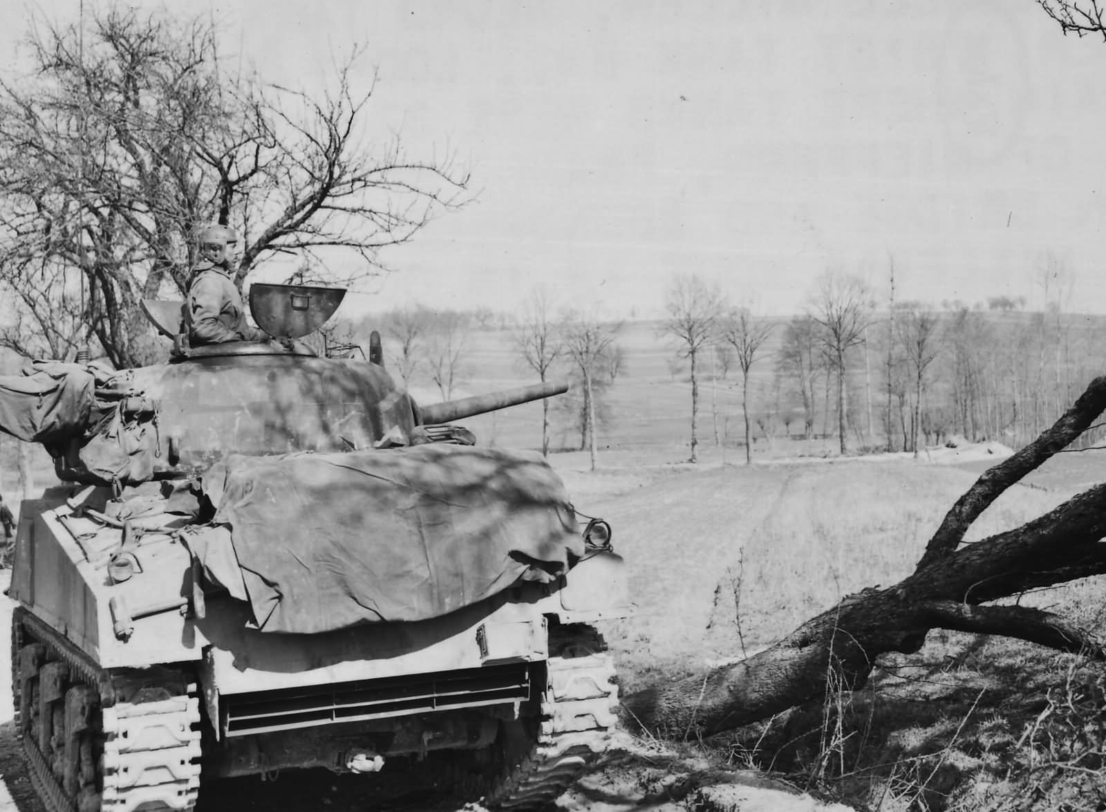 761st Tank Battalion M4 Sherman Supporting the 103rd ID Nieffern France 1945