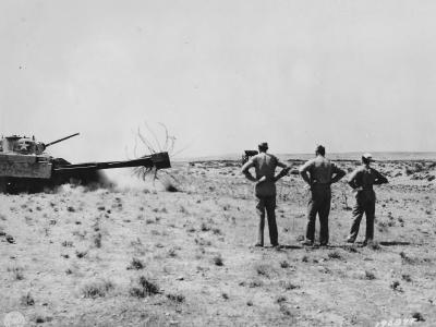 M4 Sherman Scorpion Going through Barbed Wire North Africa