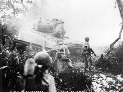 Marines follow tank M4A1 Jungle Cape Gloucester
