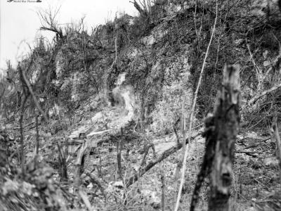Amphibious tractors go to work on the caves Peleliu