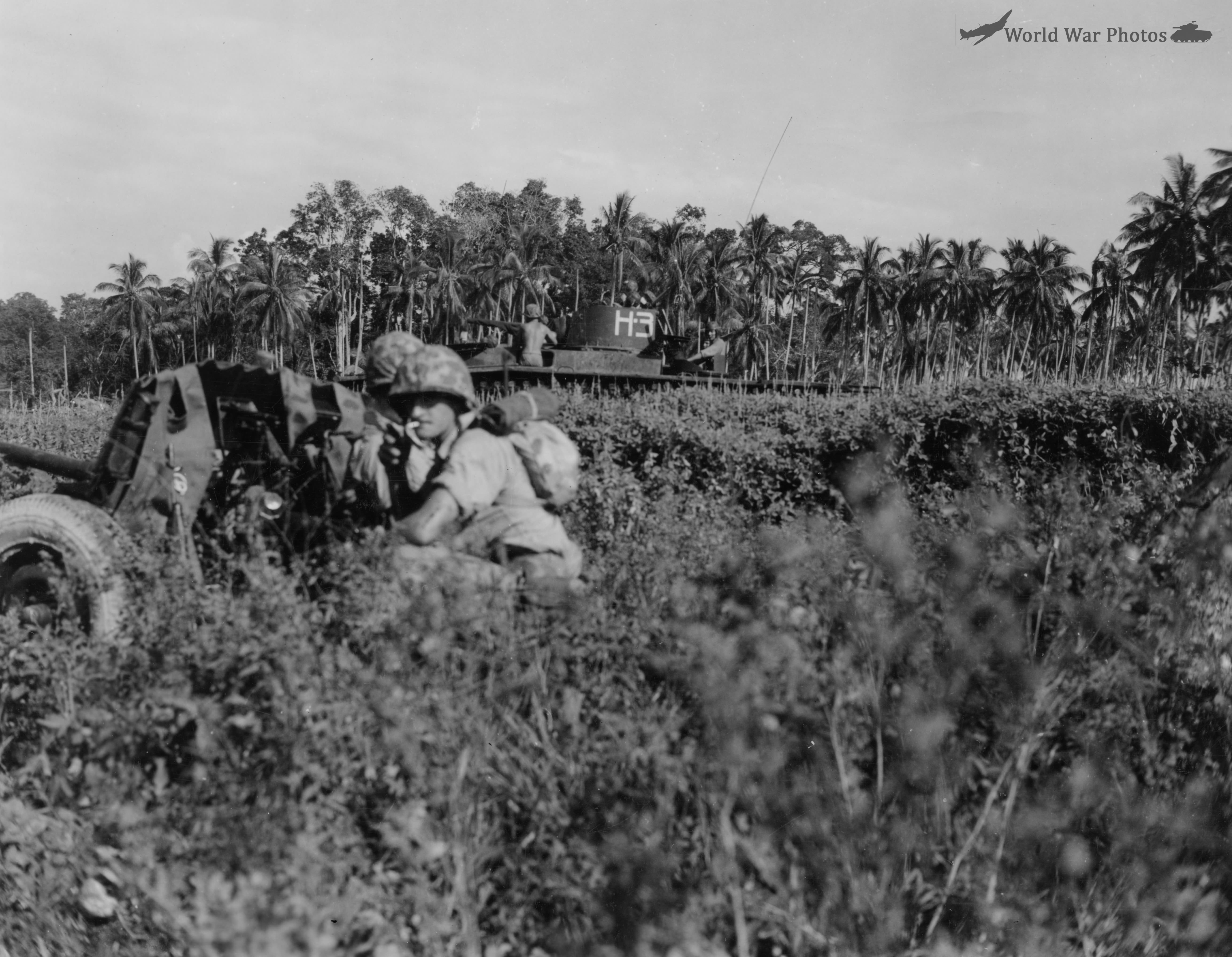 An amphibious tank shortly after it hit the beach on Peleliu