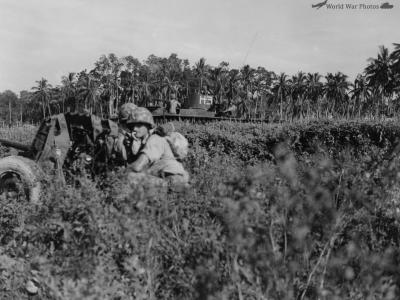 An amphibious tank shortly after it hit the beach on Peleliu