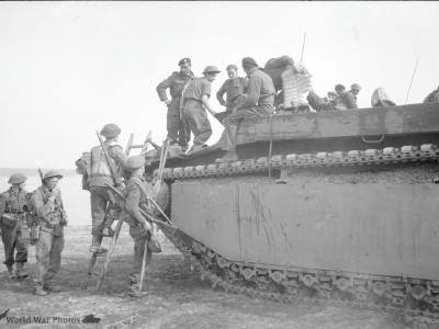 Buffalo during the Rhine crossing