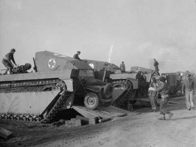 Buffalo during the Rhine crossing