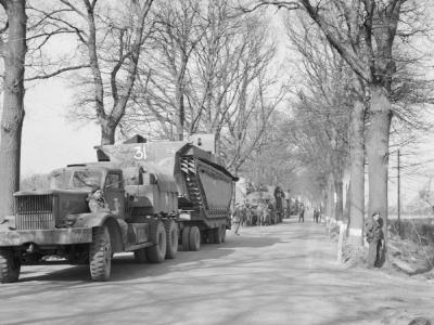 Buffalo during the Rhine crossing