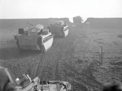 Buffalo during the Rhine crossing