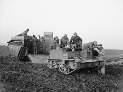 Buffalo during the Rhine crossing
