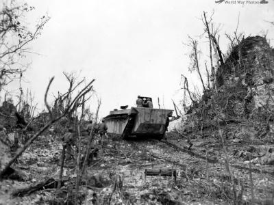 LVT-4 amphibious tractor with flamethrower