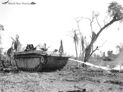 LVT-4 fighting on Peleliu
