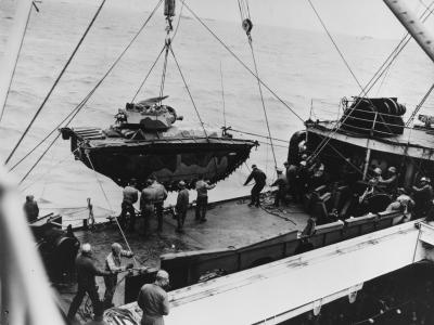 LVT(A)-4 amphibious tractor