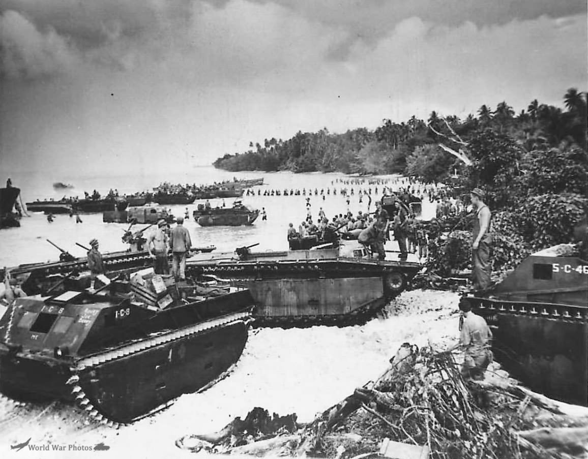 Marines LVT-1 and LVT-2