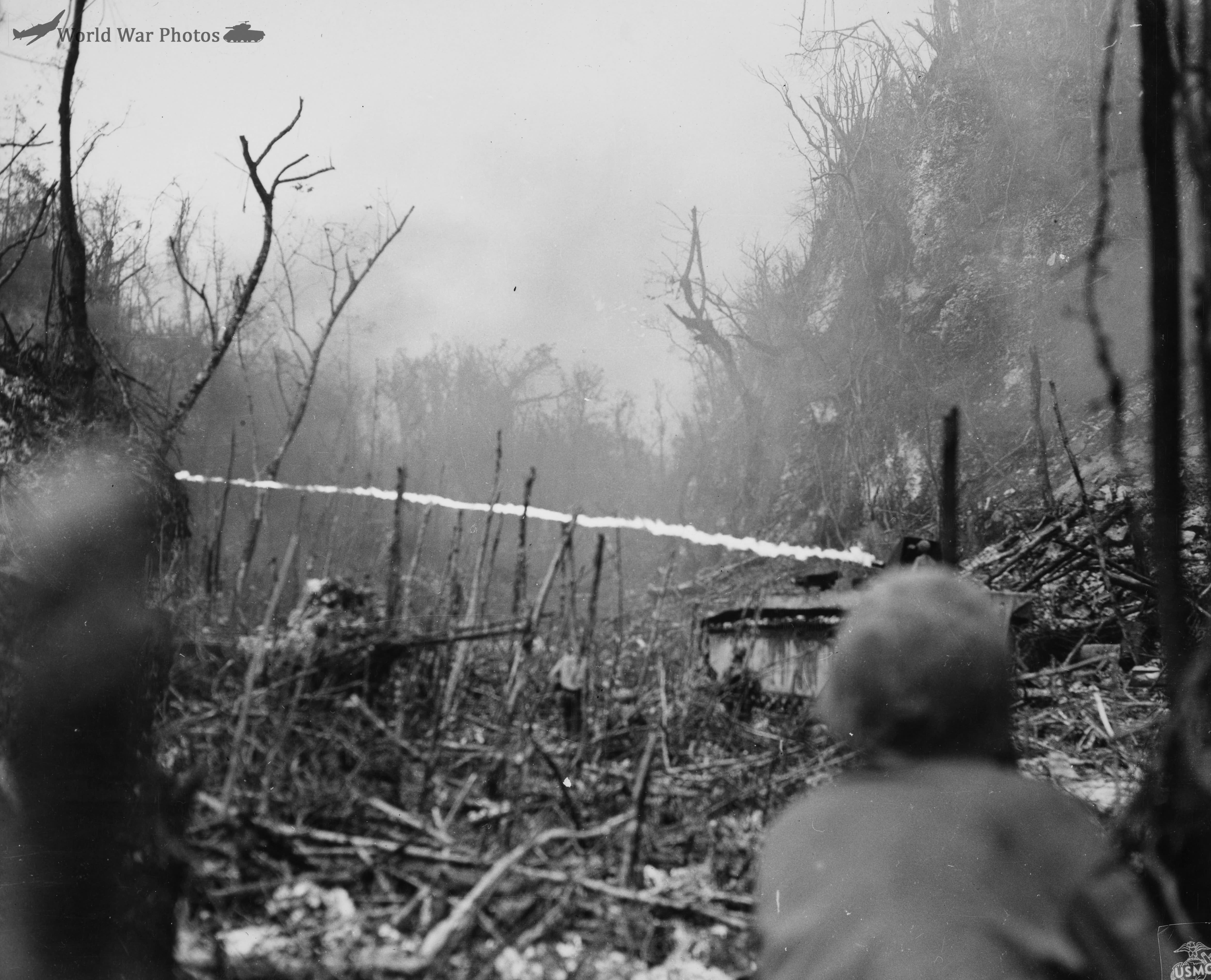 Marines with their flame-throwing amphibious tractor Peleliu