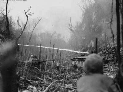 Marines with their flame-throwing amphibious tractor Peleliu