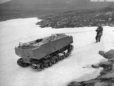 M29 Snow Buggy steered with reins