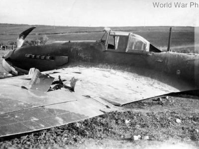Crashed IL-2 single seater