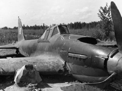 Crashed IL-2 Sturmovik „white 10”