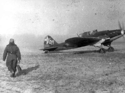 Il-2M code 12, Summer 1943